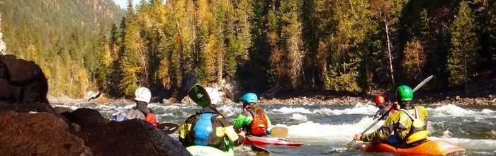 Which Whitewater Paddle is Right for Me?