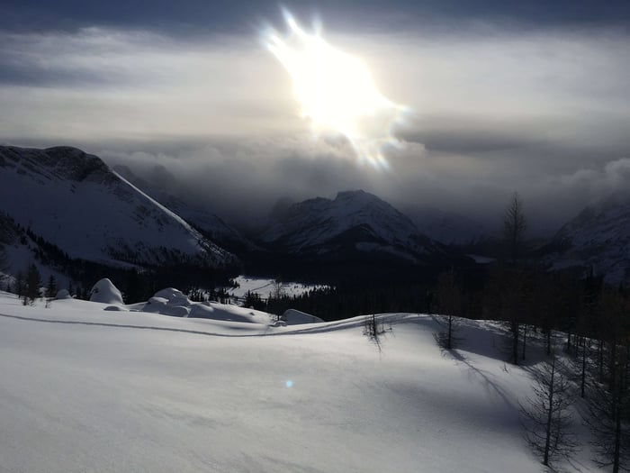 How to Trim Splitboard Skins - with Video