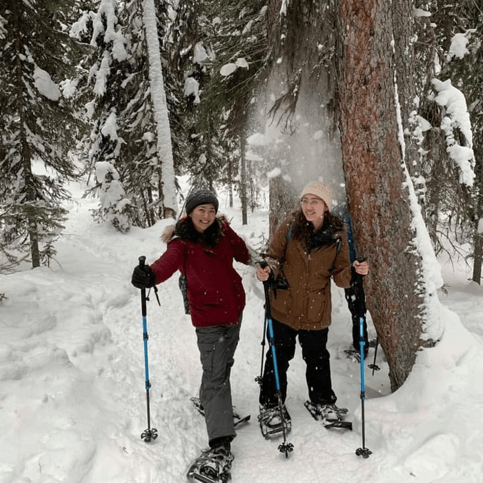 Where to Snowshoe in and Around Edmonton
