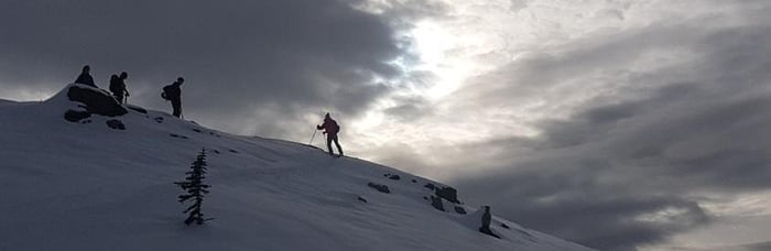 Voile | Spark R&D | Karakoram Splitboard Binding Review 2016/17