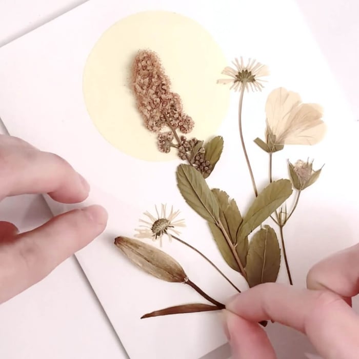 Handmade Pressed Flower Cards