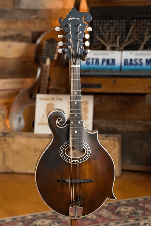 F-Style Mandolin