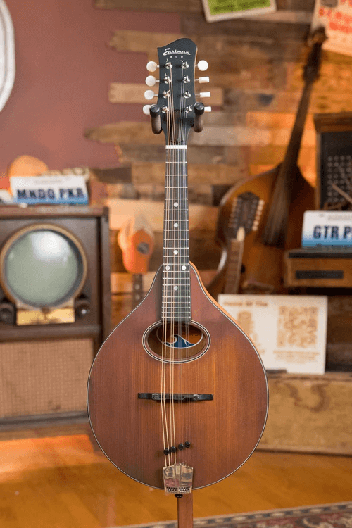 A-Style Mandolin