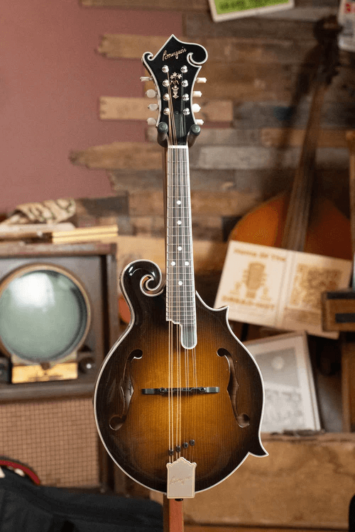 F-Style Mandolins