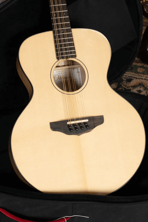 S-Model Artist Octolindo Mandolins