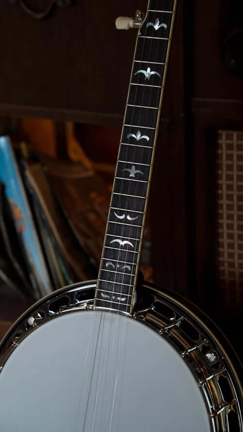 Rolled vs Cast Tone Rings-Recording_King_RK_R35_BR_Madison_Resonator_Banjo_with_Tone_Ring
