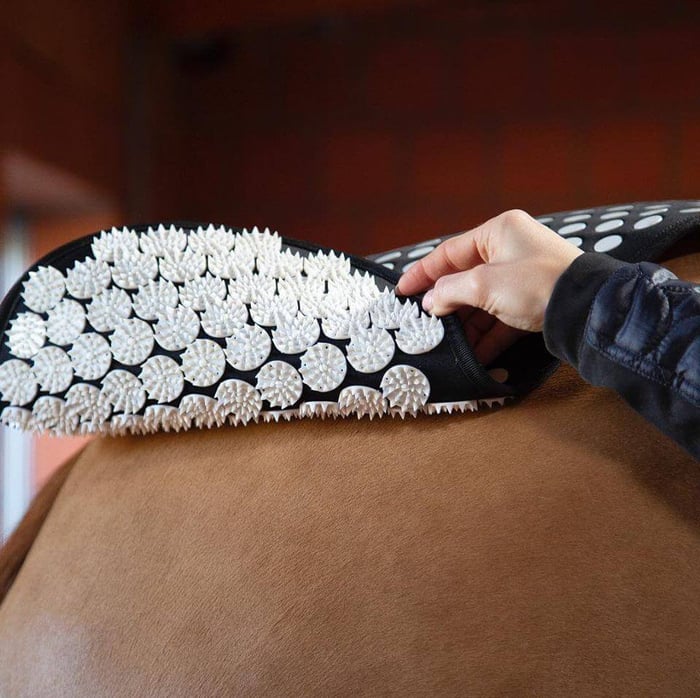 Über die Wirkung von Accuhorsemat