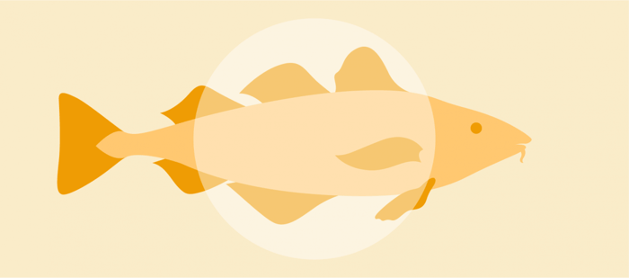 Vegan Cod Liver Oil