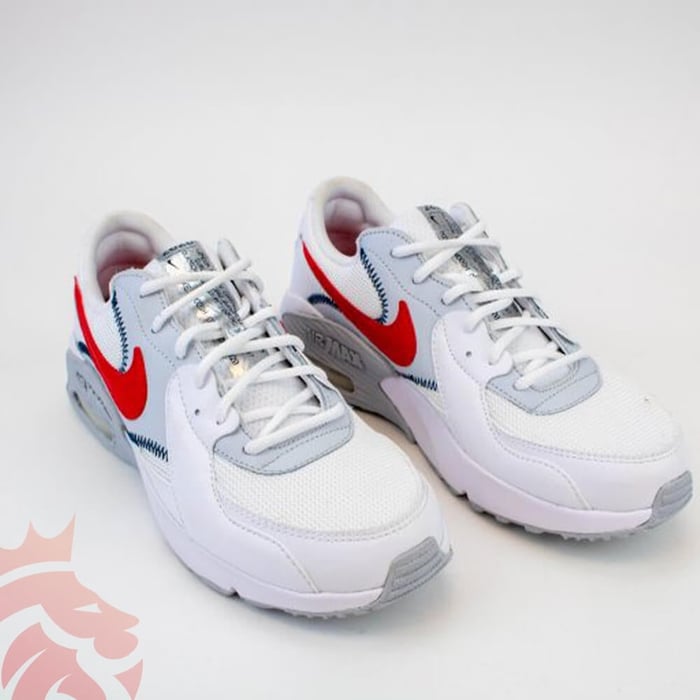 First Look: Nike Air Max Excee “Swoosh On Tour 2020”