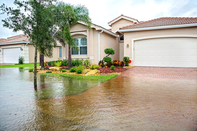 5 things  everyone should know about flood insurance