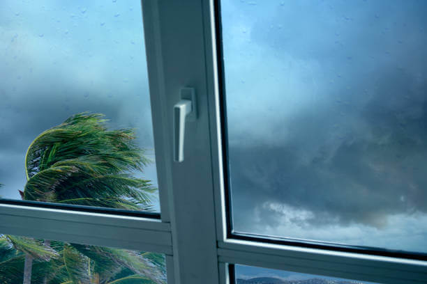 How to protect your windows during the 2022 hurricane season