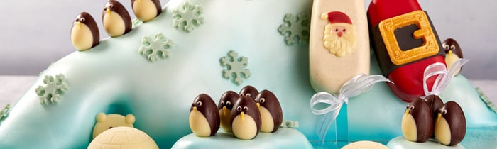 Looking for ways to elevate your festive bakes this Christmas?