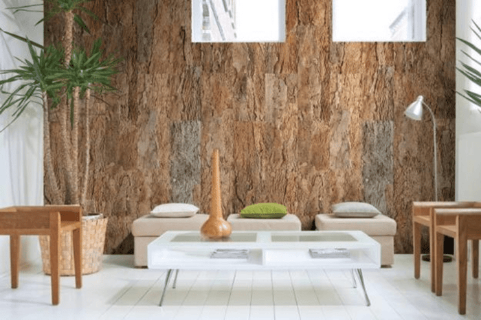Eco-Friendly Style Guide for Modern Homes