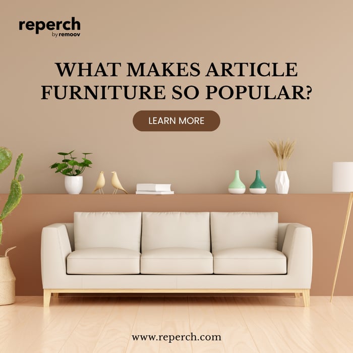 What Makes Article Furniture So Popular With Modern Homeowners?