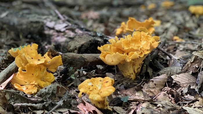 featured image for blog