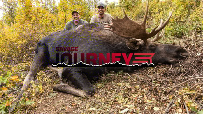 featured image for blog