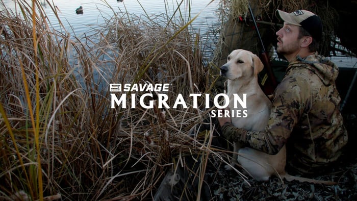 featured image for blog