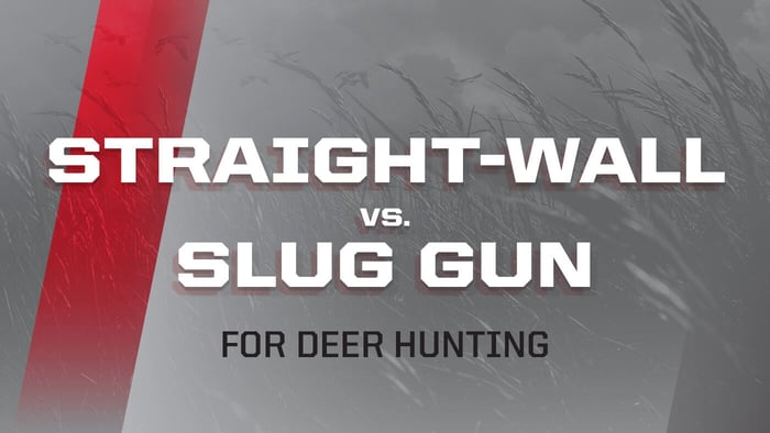 featured image for blog