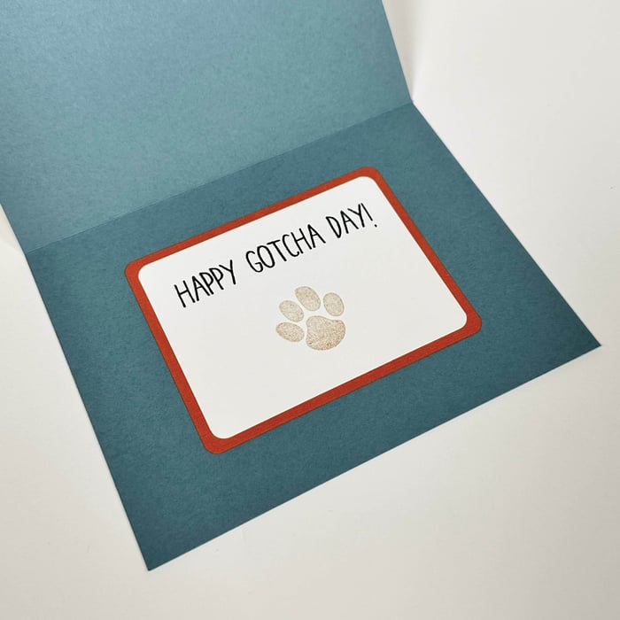 Happy gotcha day!