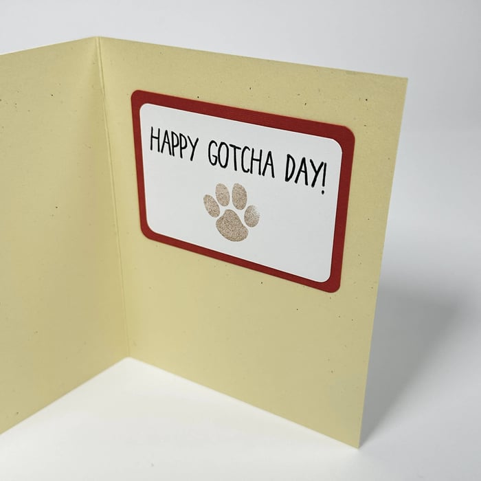 Happy gotcha day!
