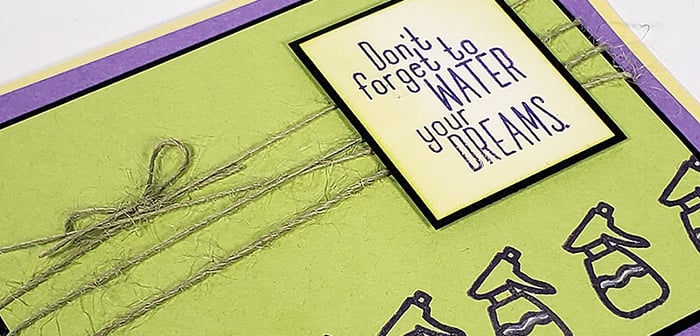 Sprouts Stamps - Seeds of Inspiration!