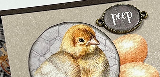 The Roost Podium Book - A closer look.