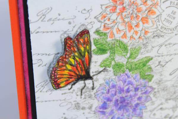 Create a Collage Card