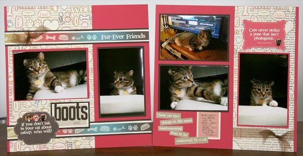 Fur-Ever Friends - Fluffy and Fido