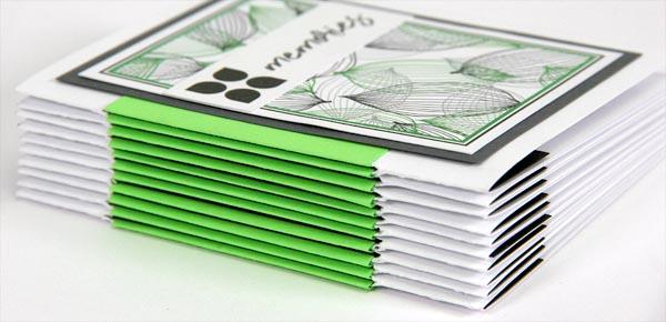 Mini Accordion Hinge Book Instructions and Video