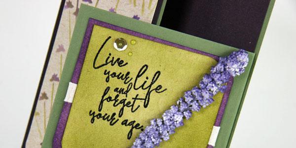 May card kit Guest Artist - Nancy Young.