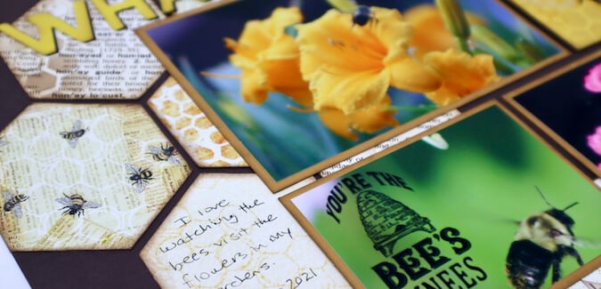 Hexagon Prints Background - What's all the buzz about?!