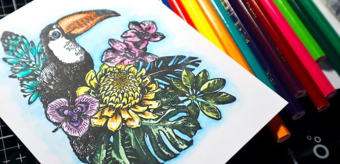Tropicale Stamps - Make artwork with rainforest flair!