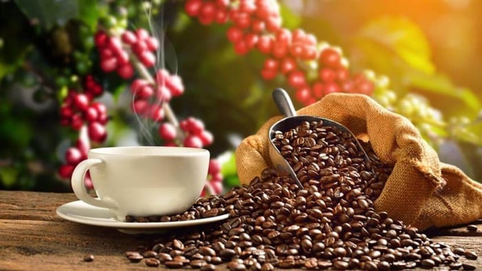 Country Bean Blend vs Pure Arabica - Which to pick?