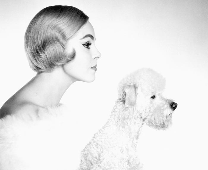 EXHIBITION OF F.C. GUNDLACH | BIG SHOTS | 15 NOVEMBER 2019 - 1 FEBRUAR 2020