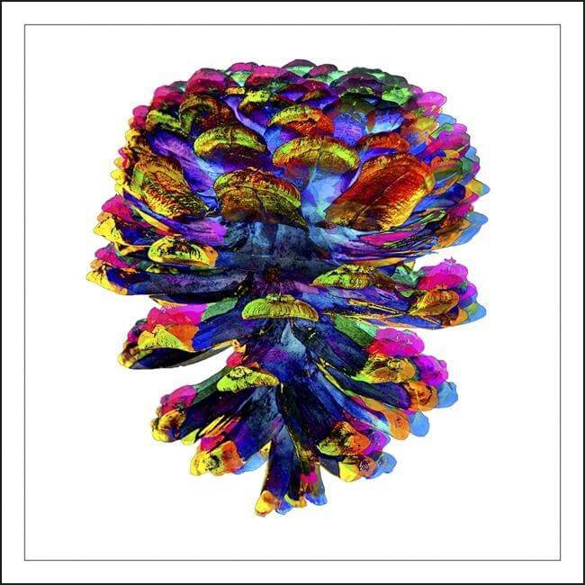 EXHIBITION OF STEFANO ZARDINI | SNOWLAND | 30 DECEMBER 2018 - 30 JUNE 2019