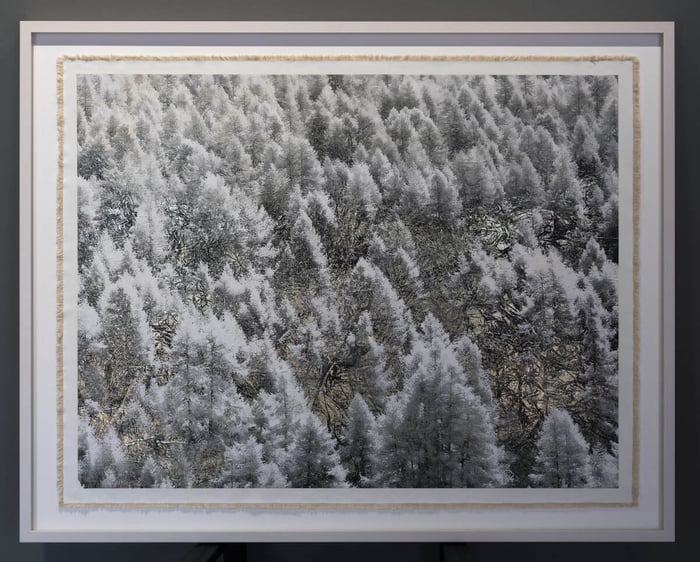 COLLECT BILL CLAPS' GLISTENING GOLD ARTWORKS