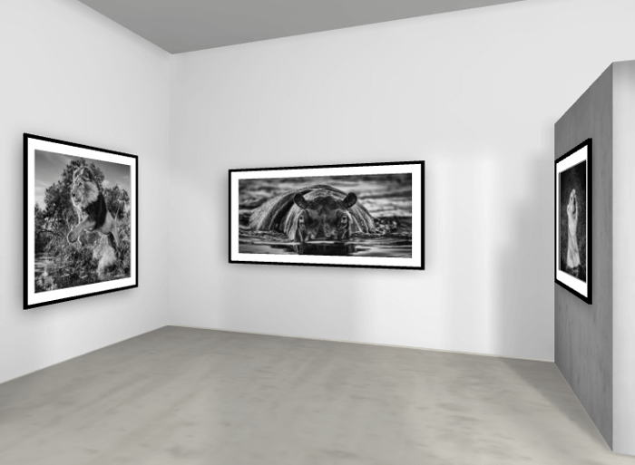 DISCOVER THE ONLINE EXHIBITION | DAVID YARROW | WILD HEROES