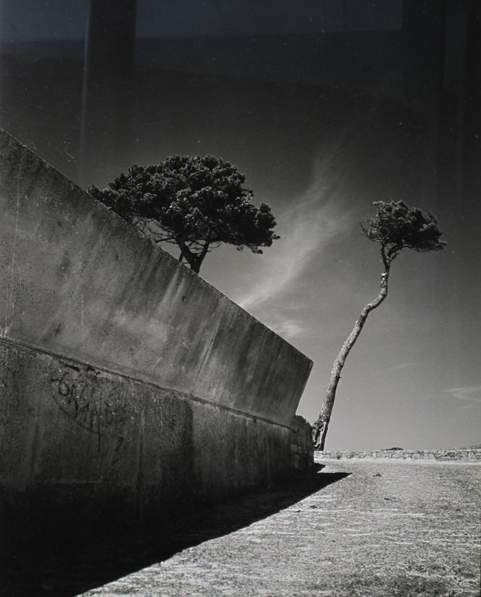 Discovering Christian Coigny: A Must-See Exhibition in St. Moritz