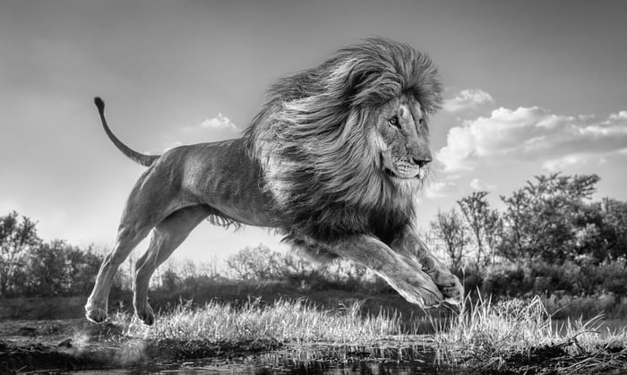 DAVID YARROW'S NEW RELEASE I SUCCESSION