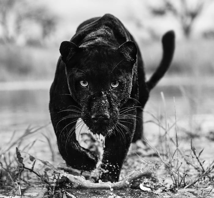 DAVID YARROW ON CNN STYLE
