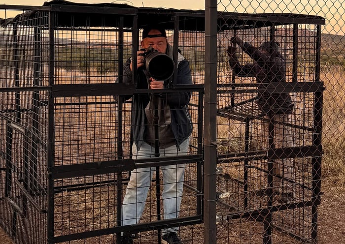 David Yarrow photographing a black panther from a protective cage in South Africa with Kevin Richardson