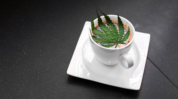 CBD Coffee: Everything You Need to Know