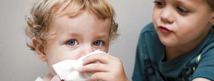 Propolis For Children, Help Them Breath