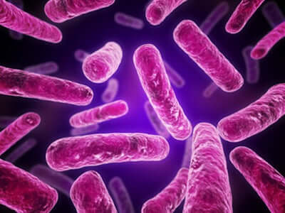 What does Manuka Honey do to bacteria exactly?