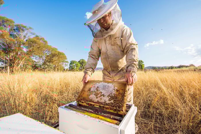 September is National Honey Month