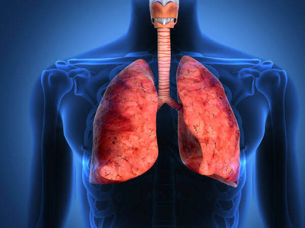 Cystic Fibrosis & Manuka Honey