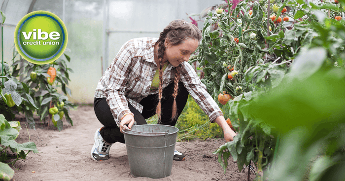6 tips to landing a summer job