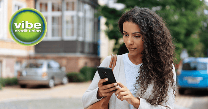 Avoiding Fraud 101