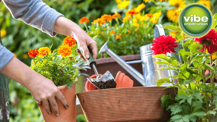 Gardening on a Budget