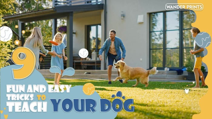International Dog Day: 9 Fun and Easy Tricks to Teach Your Dog